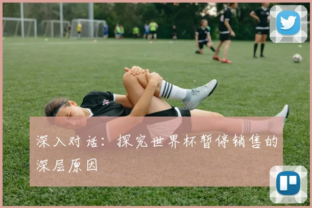 深入对话：探究世界杯暂停销售的深层原因