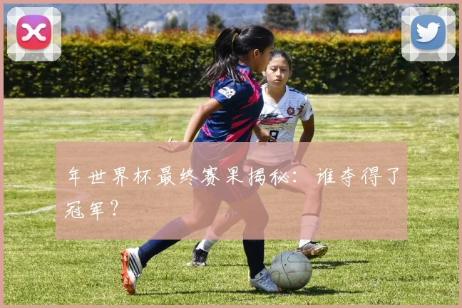 年世界杯最终赛果揭秘：谁夺得了冠军？