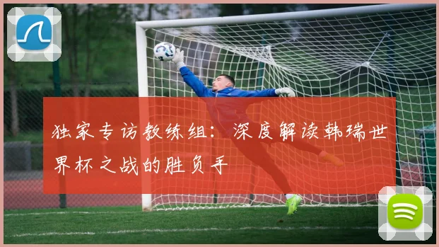 独家专访教练组：深度解读韩瑞世界杯之战的胜负手
