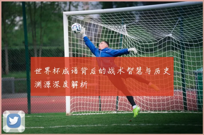 世界杯成语背后的战术智慧与历史渊源深度解析