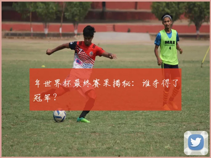 年世界杯最终赛果揭秘：谁夺得了冠军？