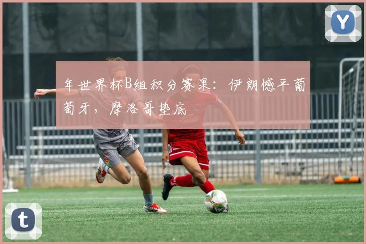 年世界杯B组积分赛果:伊朗憾平葡萄牙,摩洛哥垫底